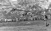 Paneurhythmy at "The Seven Lakes", Rila Mountain
